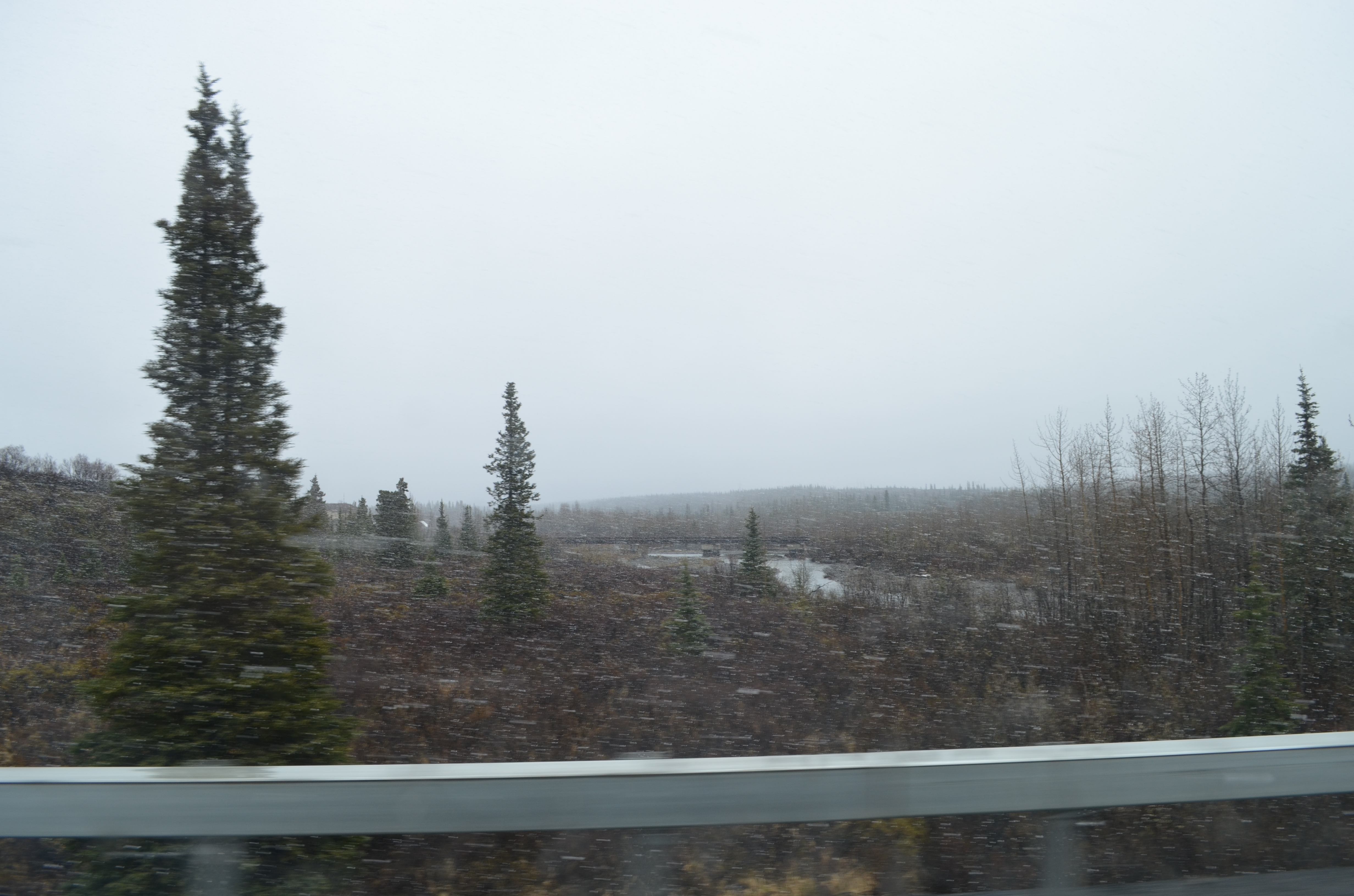 ./2017/08 - Alaska Cruise/03 - Denali/DSC_0089.JPG